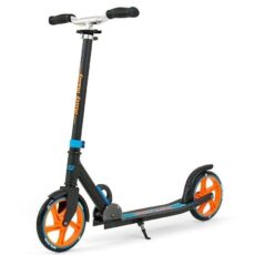 Patin
