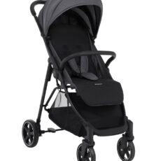 Silla de paseo Alexa Gris Oscuro