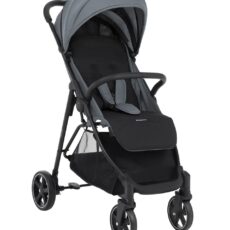 Silla de paseo Alexa Gris Claro